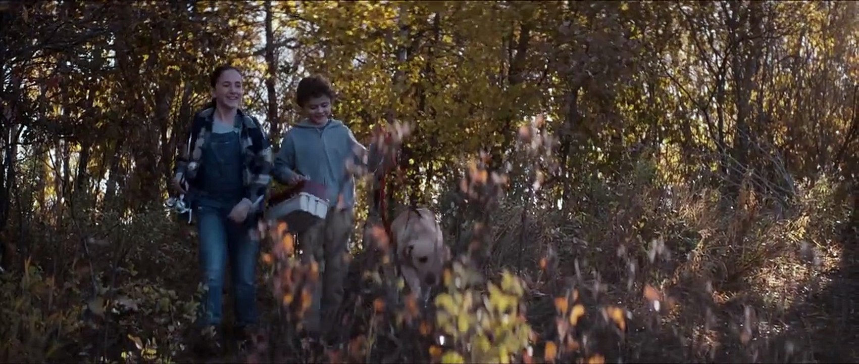 Blood (2023) stream deutsch anschauen