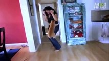 High Jumping Cat Attacks Owners On Cat From Hell  AnimalPlanetTV