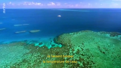 Un Plan B pour l'Apocalypse 🚨 : Découvrez des solutions pour sauver notre planète