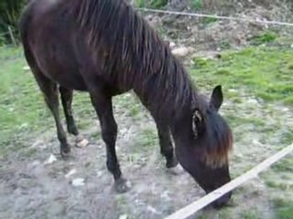 Toundra