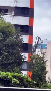 Que perigo! Mulher é flagrada limpando janela de apartamento em bairro nobre de Salvador