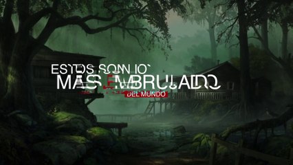 Top 10 bosques más embrujados del mundo