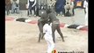 Africa  Yekini vs Balla sumo bout