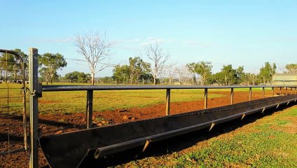 Dorroughby, Westbrook, Qld | March 20, 2024 | Farmonline