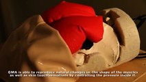 Shiri las primeras nalgas humanoides fabricadas por científicos japoneses