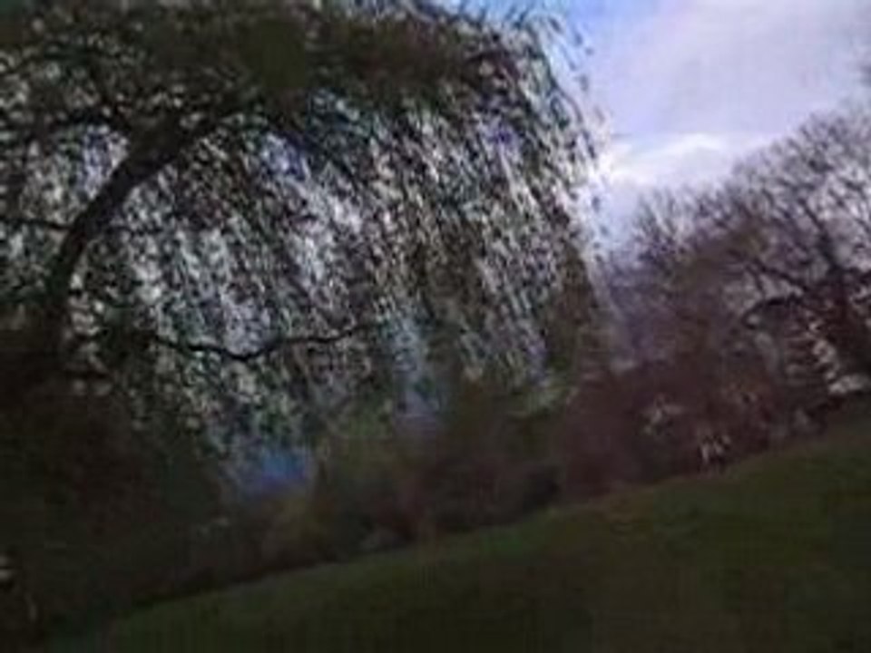 Vtt descente tranquille de la coulé Verte (Noiseau)