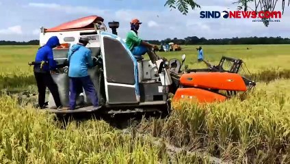 Pemerintah Impor Beras dari Kamboja Untuk Amankan Stok Jelang Lebaran