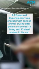 Serious animal cruelty charges laid against man after car found filled with snakes
