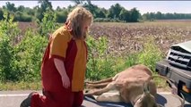 Tammy  Official UK Movie TRAILER 1 2014 HD  Melissa McCarthy Susan Sarandon Comedy