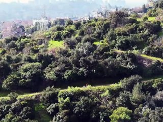 Dick Marshall Odyssey to the Oscars | movie | 2024 | Official Trailer