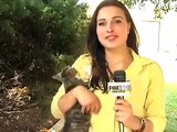 Gatito interrumpe a un reportera