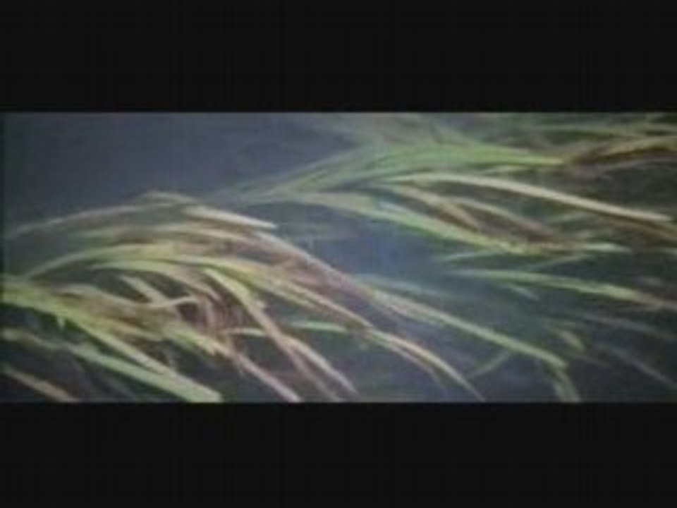 Nine Inch Nails nouvel album Ghost