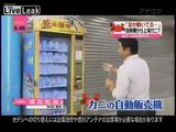 Venden cangrejos vivos en máquinas expendedoras en China Crueldad animal