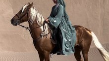 جمالية الخيل العربي