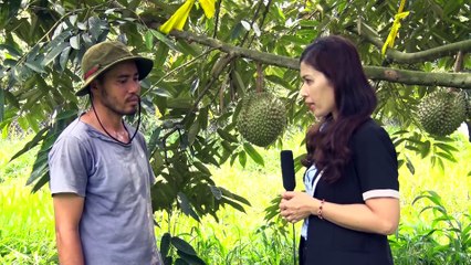 CAP MA VUNG TRONG SAU RIENG XA THANH SON_THANH LONG ANNA_12P