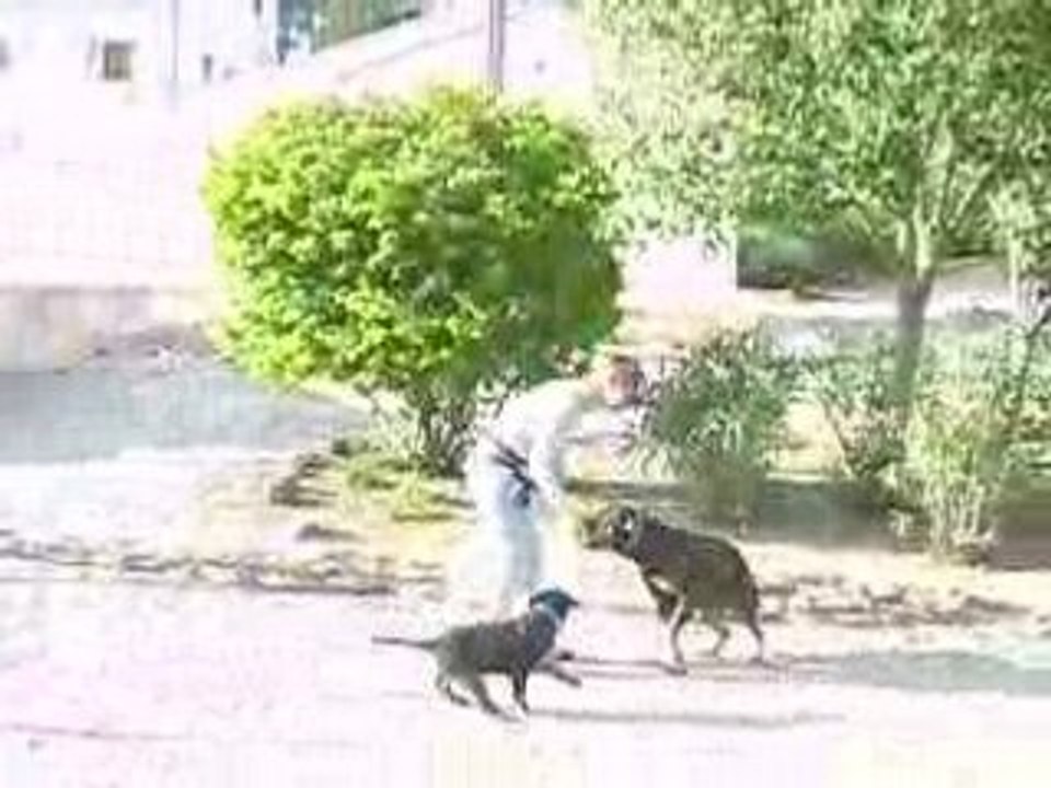 Entrainement au clicker de Vitaa