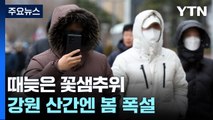 [날씨] 춘분에 찾아온 영하권 꽃샘추위...강원 산간엔 봄 폭설 / YTN