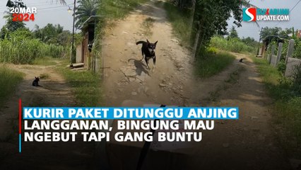 Kurir Paket Ditunggu Anjing Langganan, Bingung Mau Ngebut Tapi Gang Buntu
