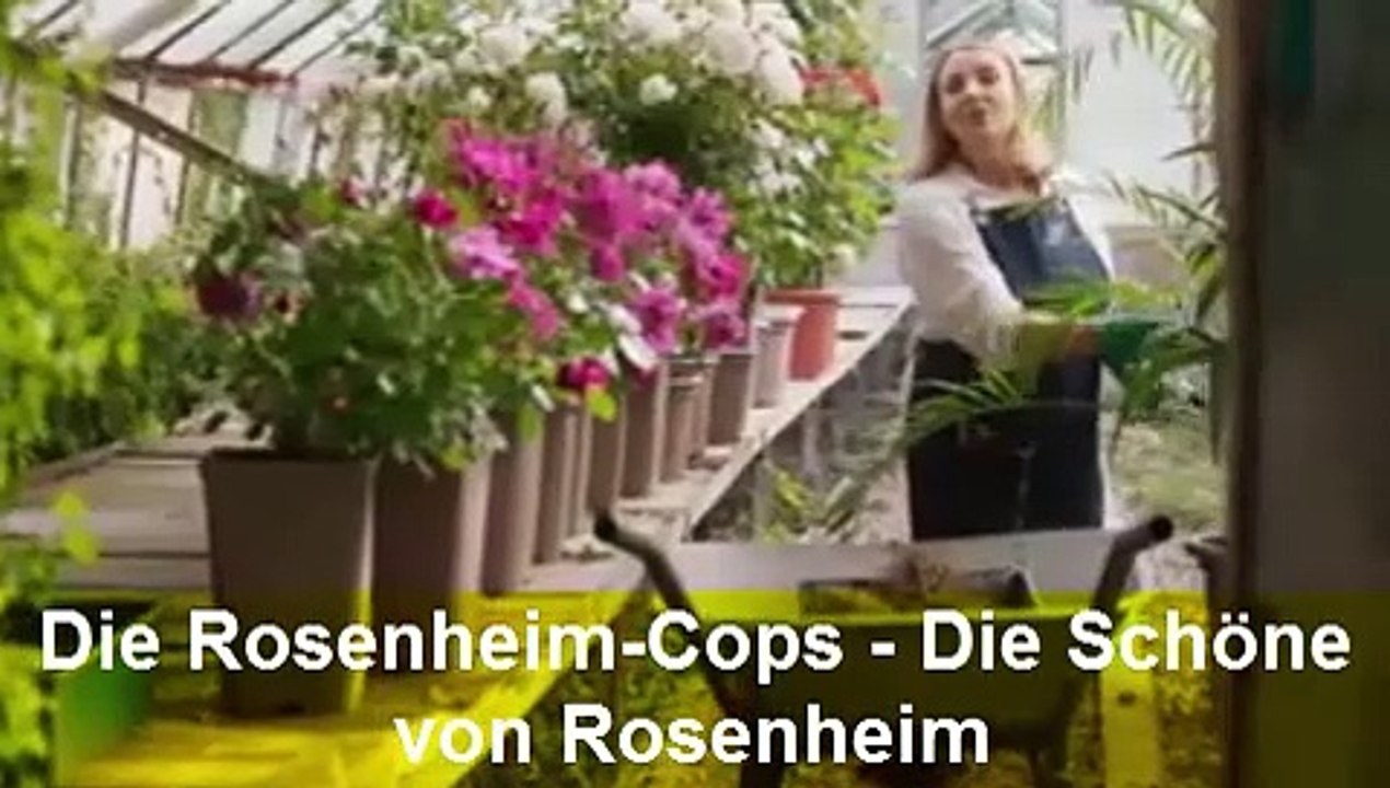 Die Rosenheim-Cops Staffel 23 Folge 15 Die Schöne von Rosenheim (546)