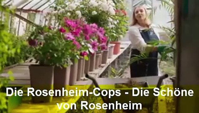 Die Rosenheim-Cops Staffel 23 Folge 15 Die Schöne von Rosenheim (546)