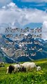 Surah anbya verse 30 to 33