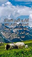 Surah anbya verse 30 to 33