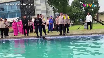 Keren, Intip Fasilitas RS Khusus Satwa di Depok