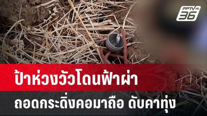 ป้าห่วงวัวโดนฟ้าผ่าถอดกระดิ่งคอมาถือ ดับคาทุ่ง | เที่ยงทันข่าว | 20 มี.ค. 67