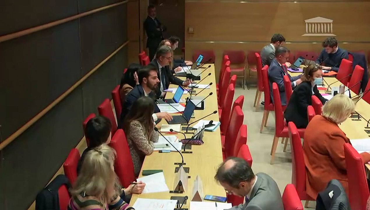 Modèle économique des crèches et qualité de l’accueil des jeunes enfants : Audition de dirigeants de la Fédération française des entreprises de crèches (FFEC) : M. Jérôme Obry, président et Mme Elsa Hervy, déléguée générale  - Mardi 19 mars 2024