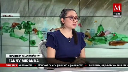 Greenpeace exige a Temu hacer público su huella de carbono | Milenio Hábitat