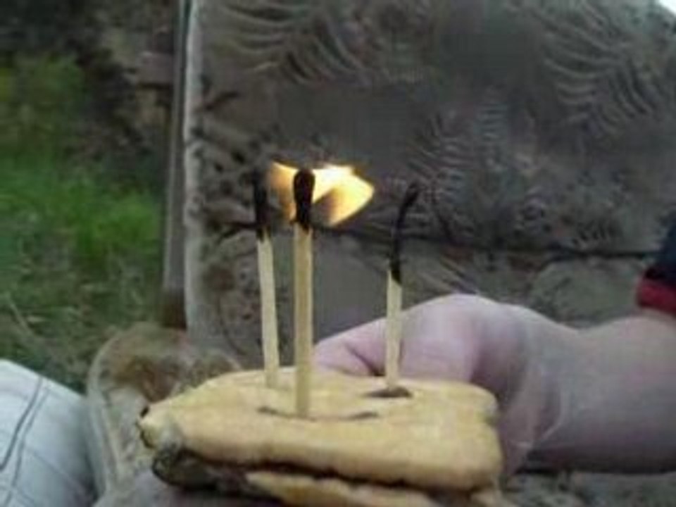BN