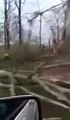 Secuelas del tornado en Picayune Mississippi