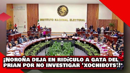 ¡VEAN! ¡Noroña deja en ridículo a otra gata del PRIAN por no querer investigar a los ‘xochibots’!