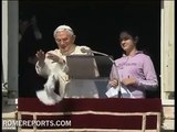 Gaviota ataca a palomas de la paz liberadas por el Papa Benedicto XVI