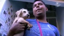 Perros detenidos en Iztapalapa ya tienen un hogar
