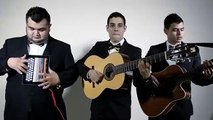 Los Tres Tristes Tigres  Mi Cuenta Nueva Video Oficial