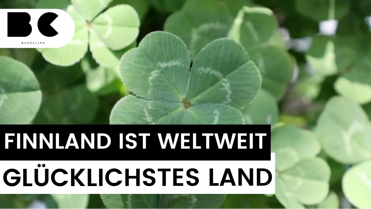 Weltglücksbericht 2024: Deutschland rutscht auf Platz 24 ab