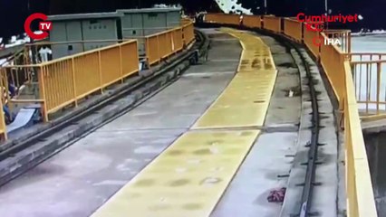 Kotanlı Barajı'nda davetsiz misafir: Nesli tükenmekte olan vaşak görüntülendi