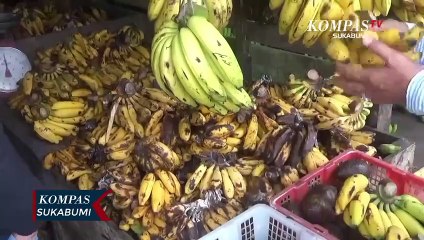 Selain Sembako Harga Buah Pisang Naik Di Bulan Ramadan Dan Alami Peningkatan