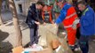 Palermo, il presidente della Rap Todaro fa il punto sulla raccolta dei rifiuti indifferenziati abbandonati