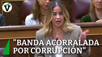 Acedo (PP), al PSOE: "Son una banda acorralada por la corrupción"