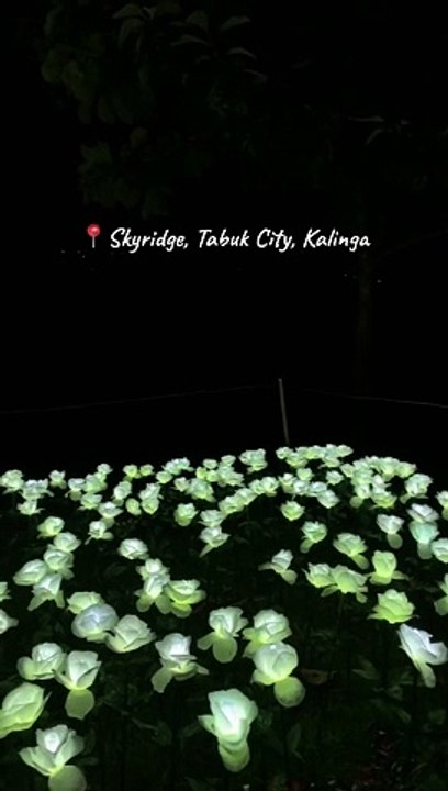 Skyridge