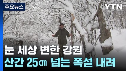 강원 산간 25cm 넘는 봄눈...봄과 겨울의 공존 / YTN