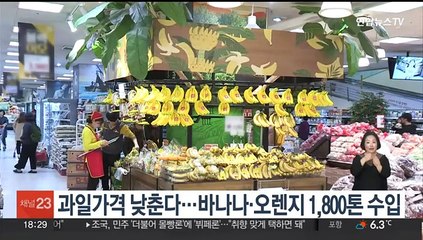 과일가격 낮춘다…바나나·오렌지 1,800t 수입