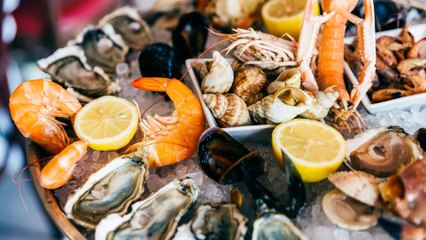 Peut-on manger des fruits de mer durant la grossesse ?