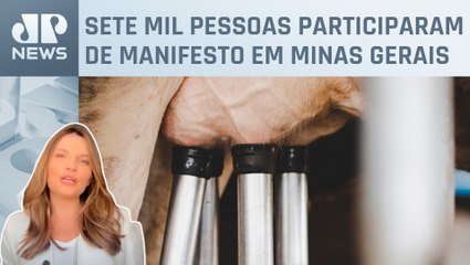 Kellen Severo: Cadeia do leite pede socorro ao governo