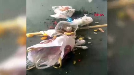 Adana'da bir grup kadın 'Ramazanda edepsizlik yapmayın' diyerek spor salonu önüne çöp döktü