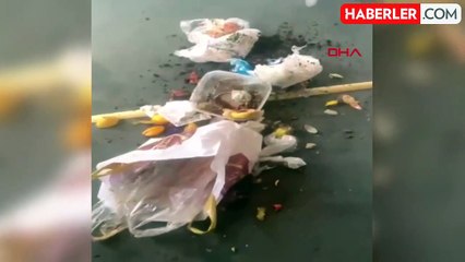 'Ramazanda edepsizlik yapmayın' deyip spor salonuna çöp döktüler