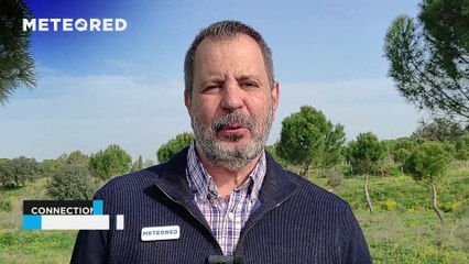 Una DANA dejará en los próximos días chubascos intensos y una importante advección de polvo sahariano