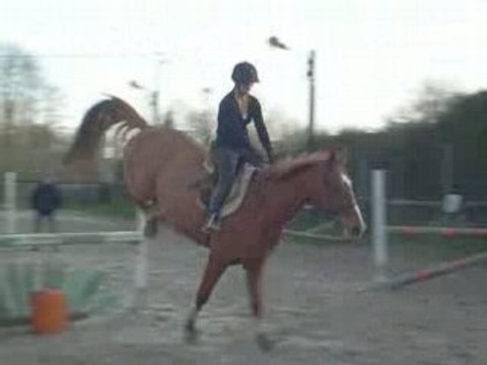 marlene et galan en saut